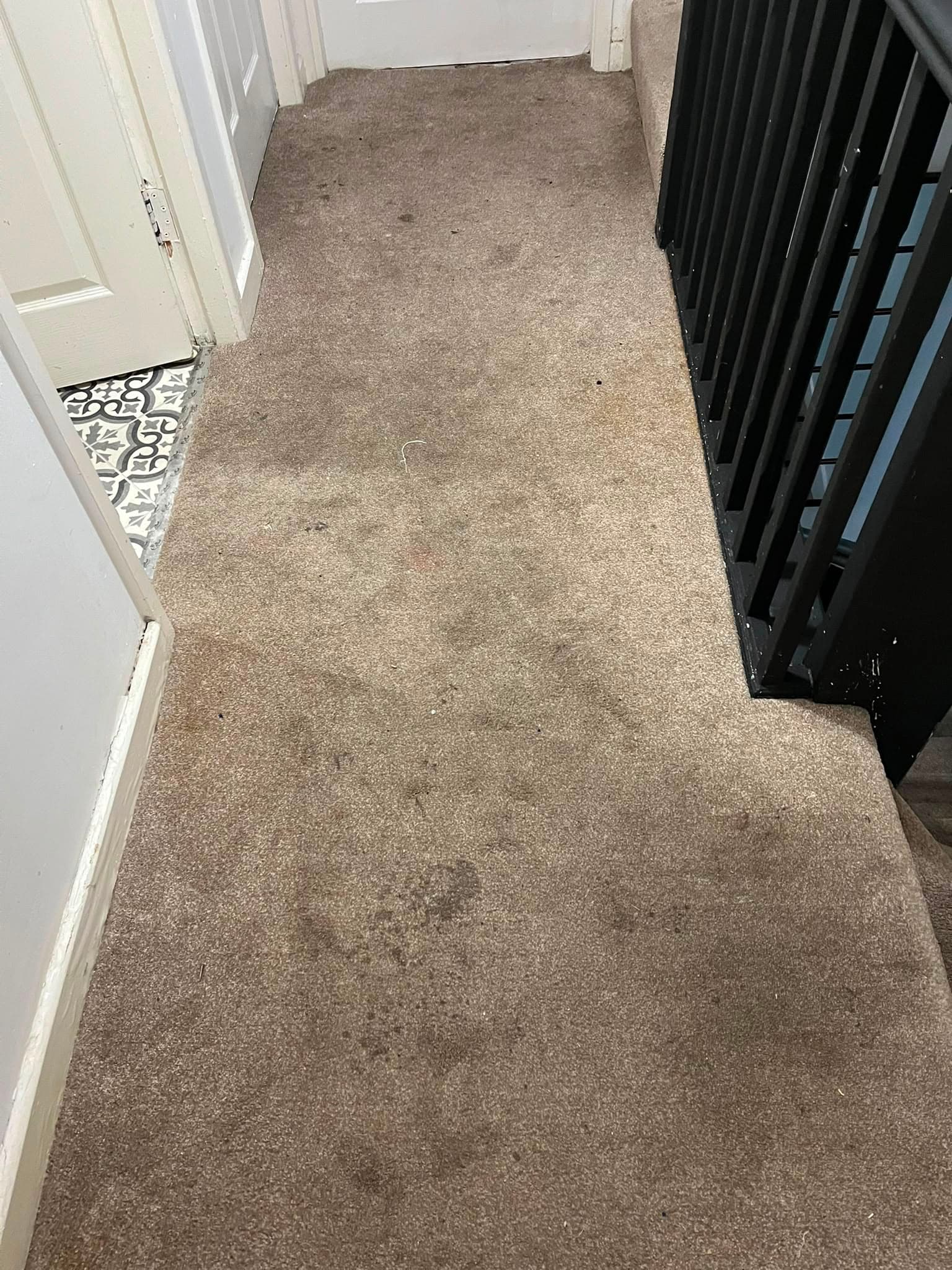 Carpet cleaning services after cleaning